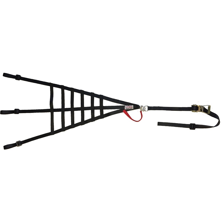 G-FORCE SFI Safety Net - Sprint Car/Quarter Midget Window Net